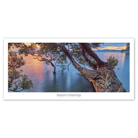 Seasons Greeting Card - Pohutukawa over the water