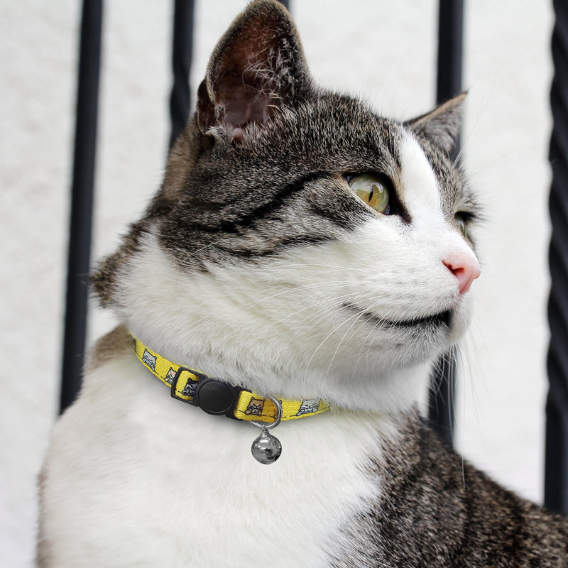 Amigo Cat Collar