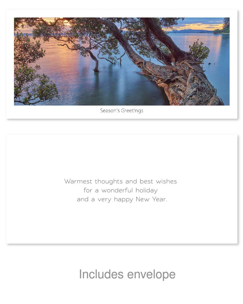 Seasons Greeting Card - Pohutukawa over the water