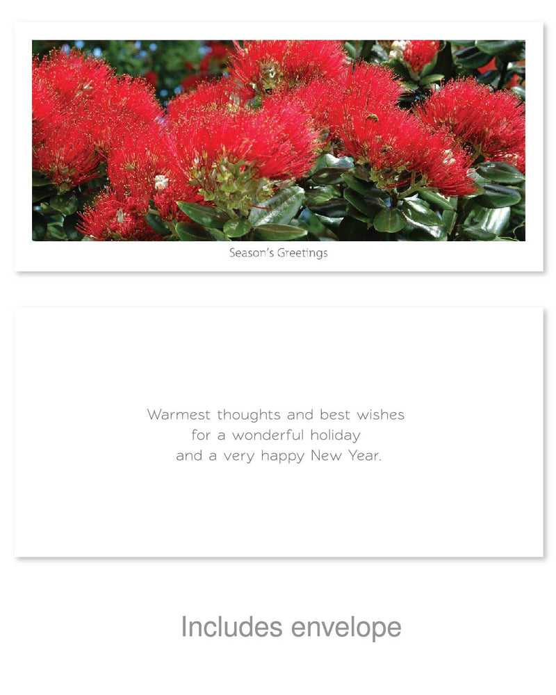 Seasons Greeting Card - Blooming pohutukawa